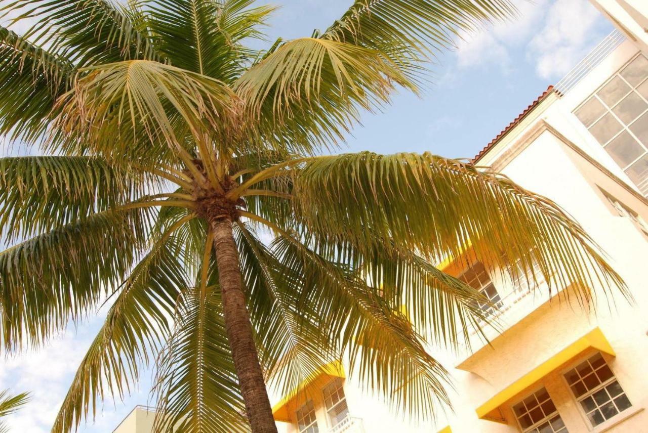 2 Bedroom Ocean Drive Newly Renovated Miami Beach Exterior foto
